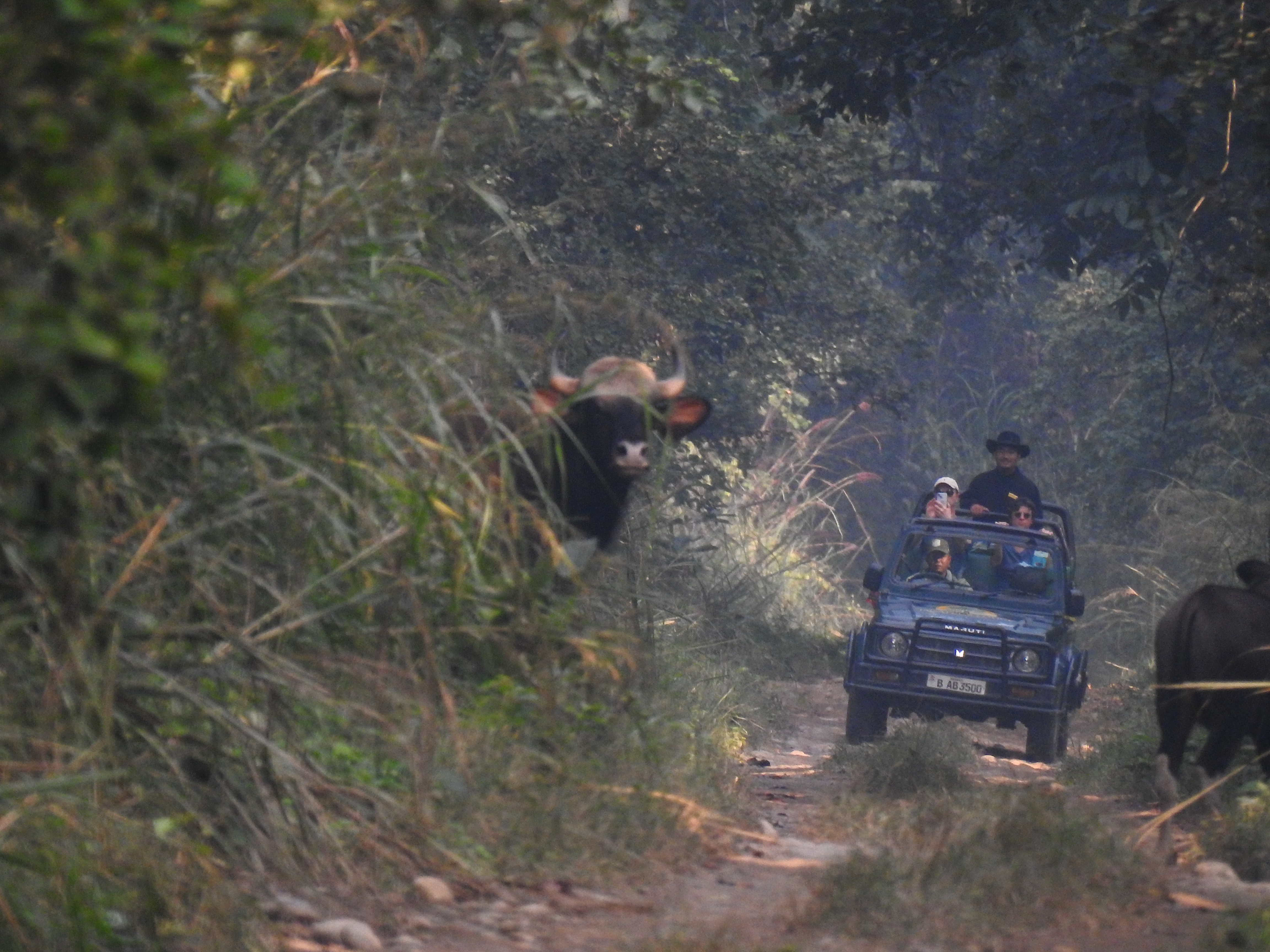 Chitwan National Park